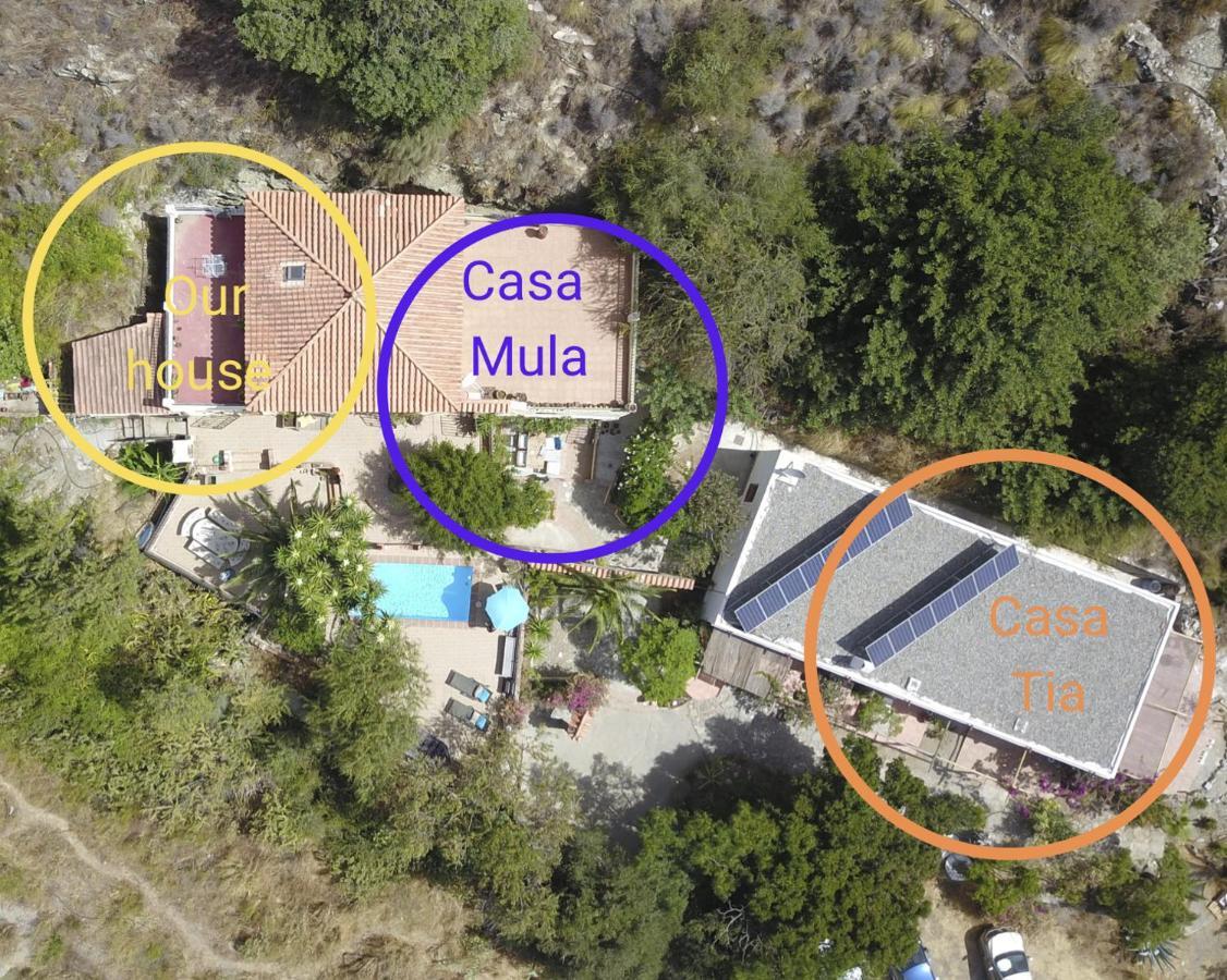 Apartment Cortijo Jamaica - Off Grid Paradise - Costa Tropical Los Diaz (Granada)
