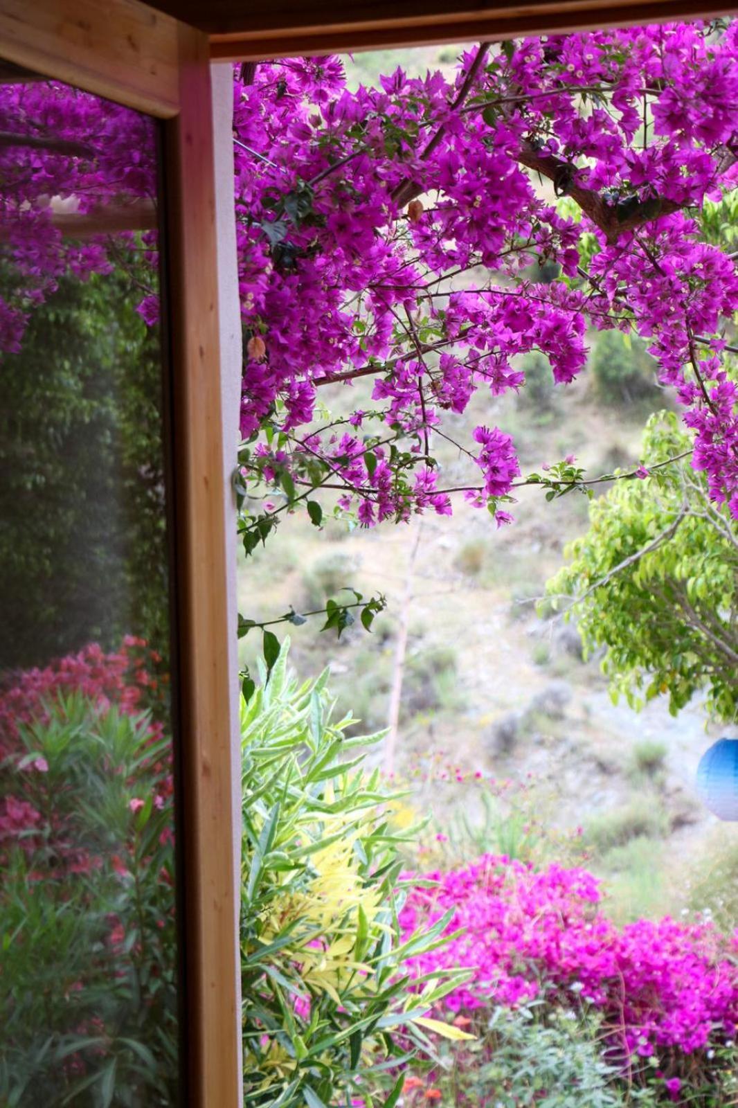 Cortijo Jamaica - Off Grid Paradise - Costa Tropical Apartment Los Diaz (Granada)